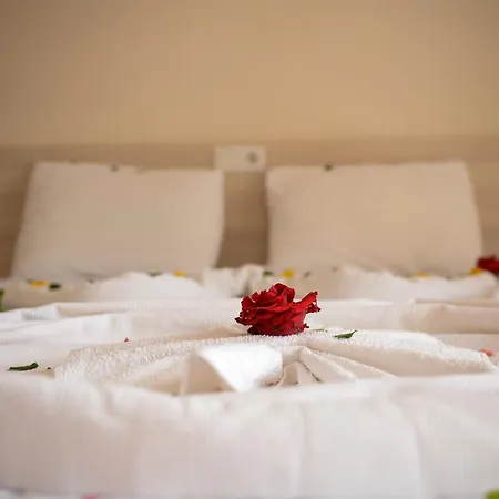 Hotel Ant Butik 3*